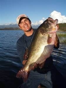 photo (2).jpg photo (2).jpg